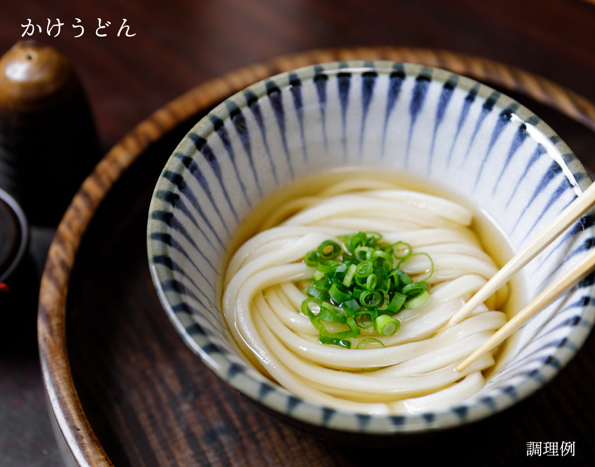 【うどんまにあ様用】220 VOLTIOS / Pesadilla マルタツうどん Mセット,（12玉）